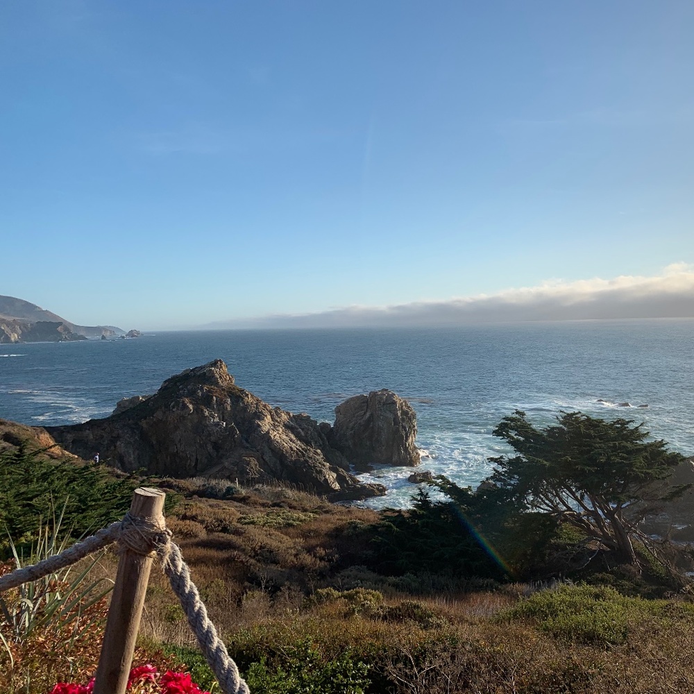 Meet your Posher, Chloe